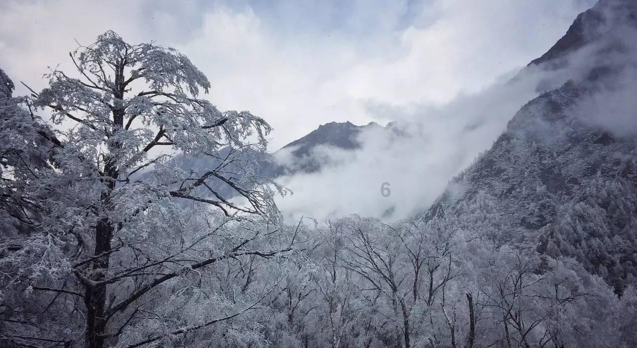 龙地逃生